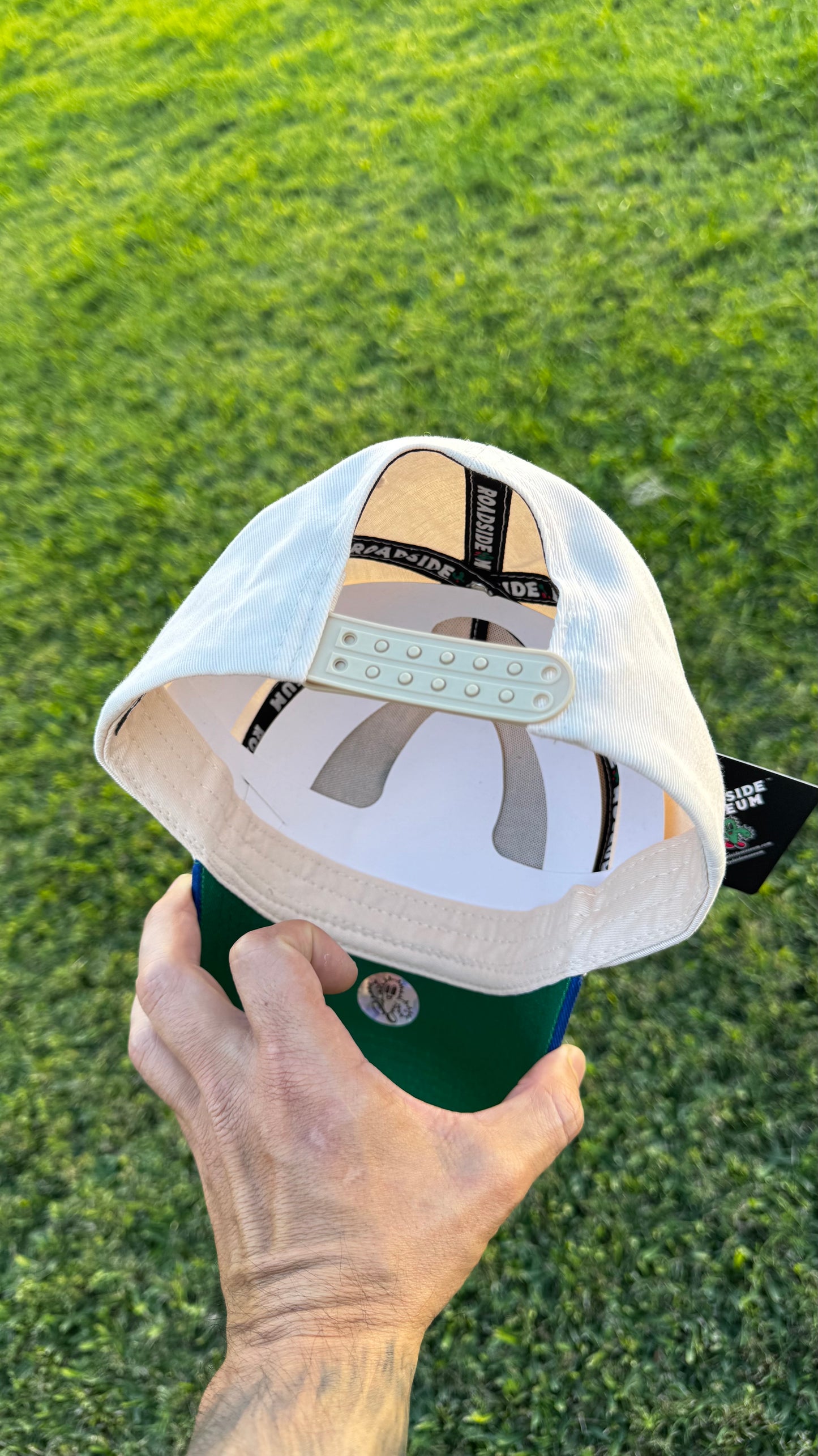 Green Hill Zone Snapback Hat