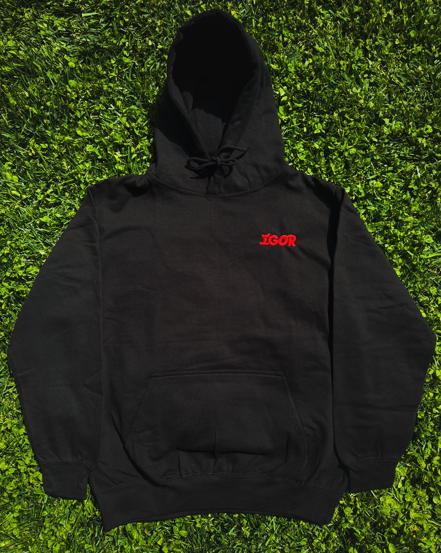 IGOR Embroidered Hoodie