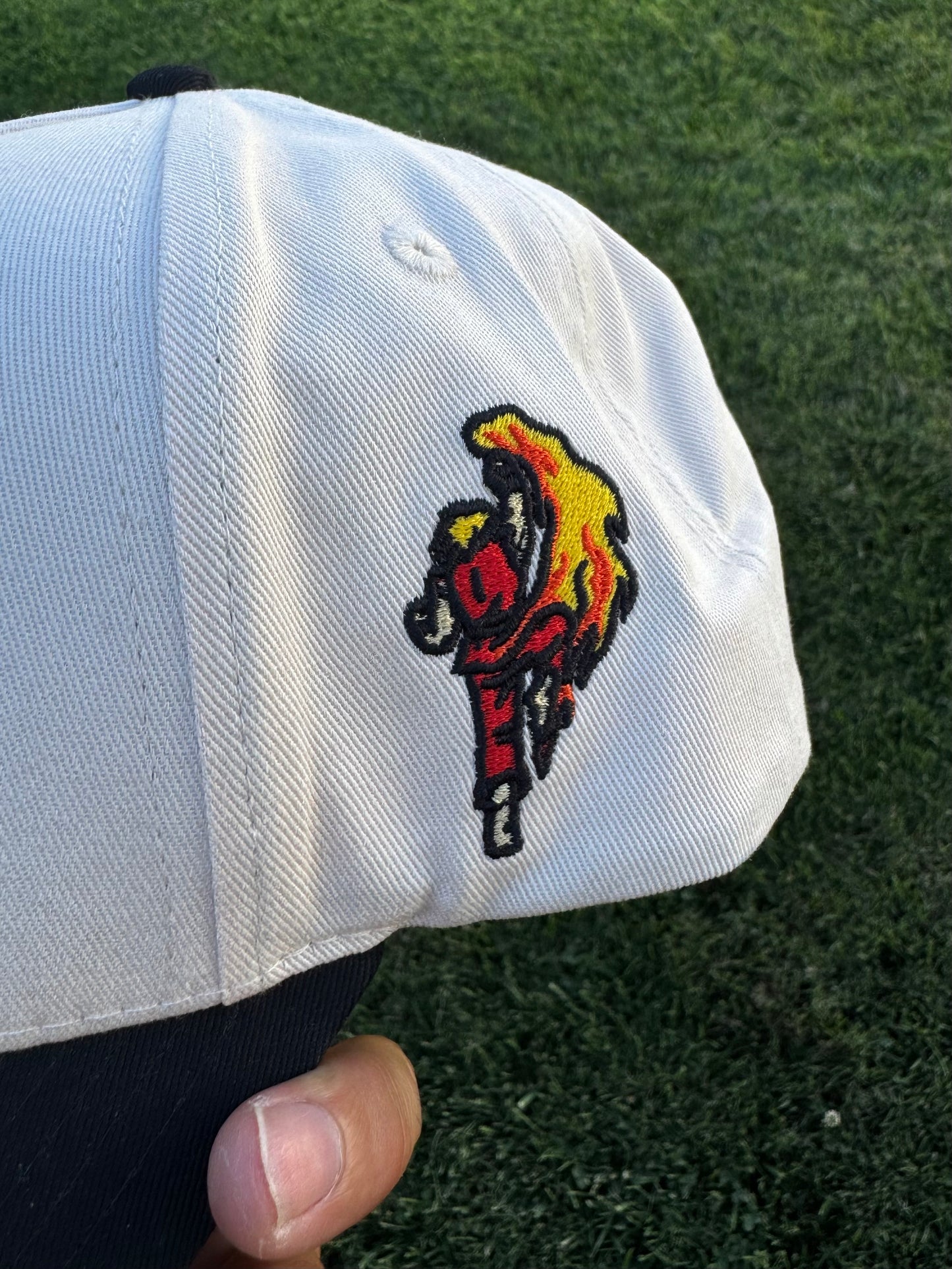 World Warrior Snapback Hat