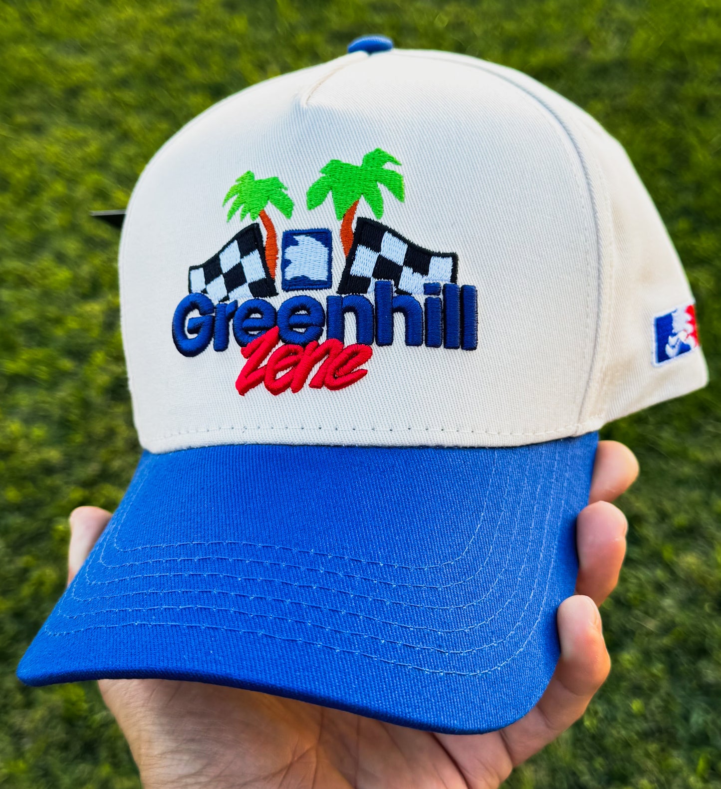 Green Hill Zone Snapback Hat