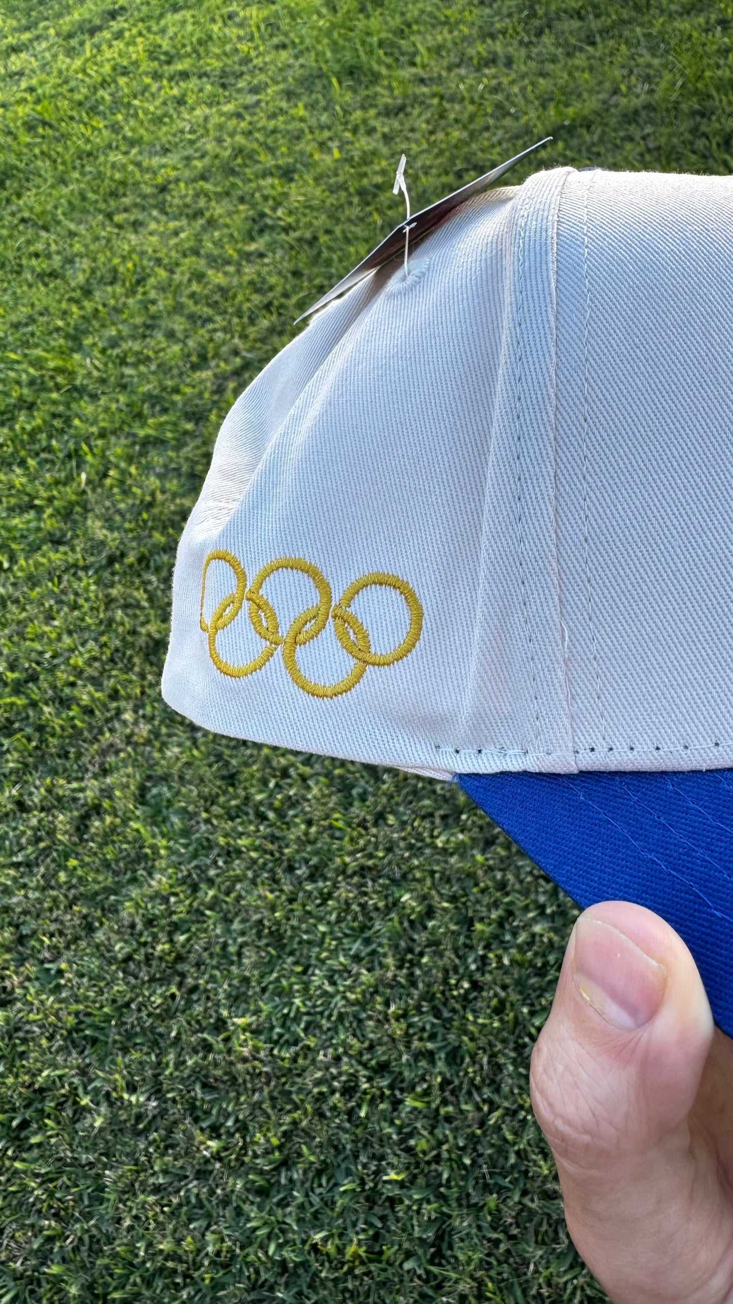 Green Hill Zone Snapback Hat