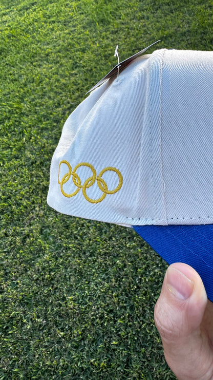 Green Hill Zone Snapback Hat