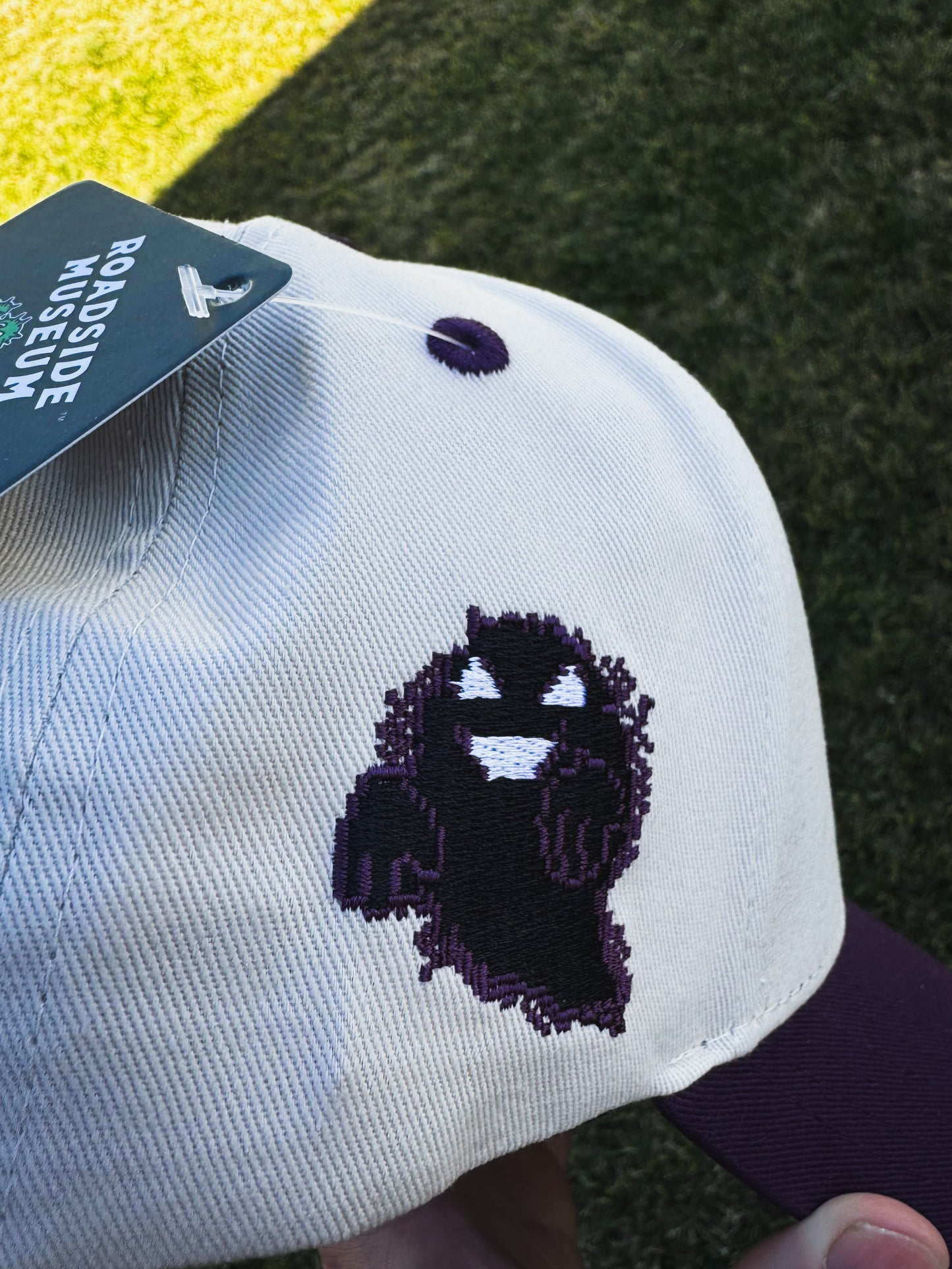 Lavender Town Snapback Hat