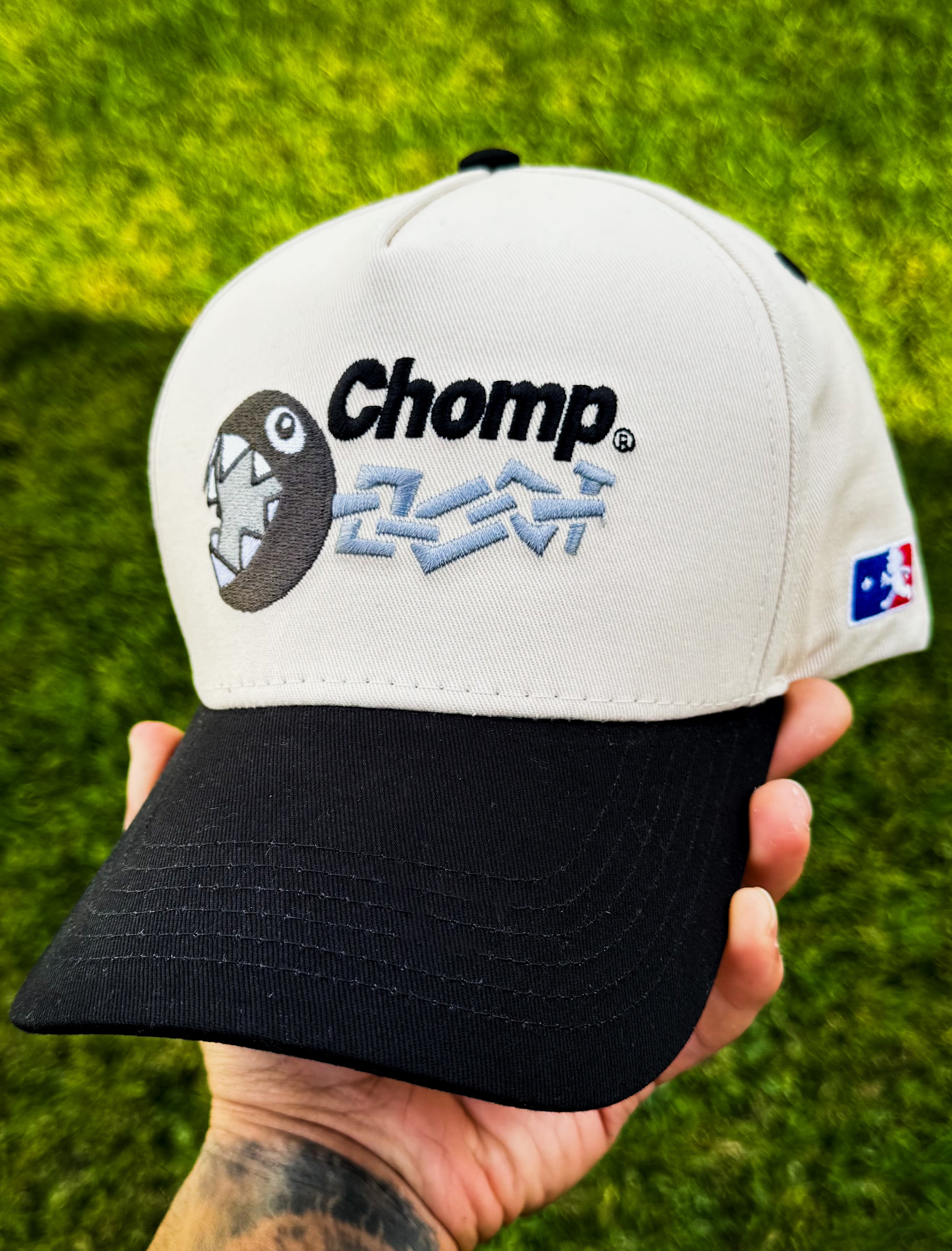 Chomp® Snapback Hat – Roadside Museum