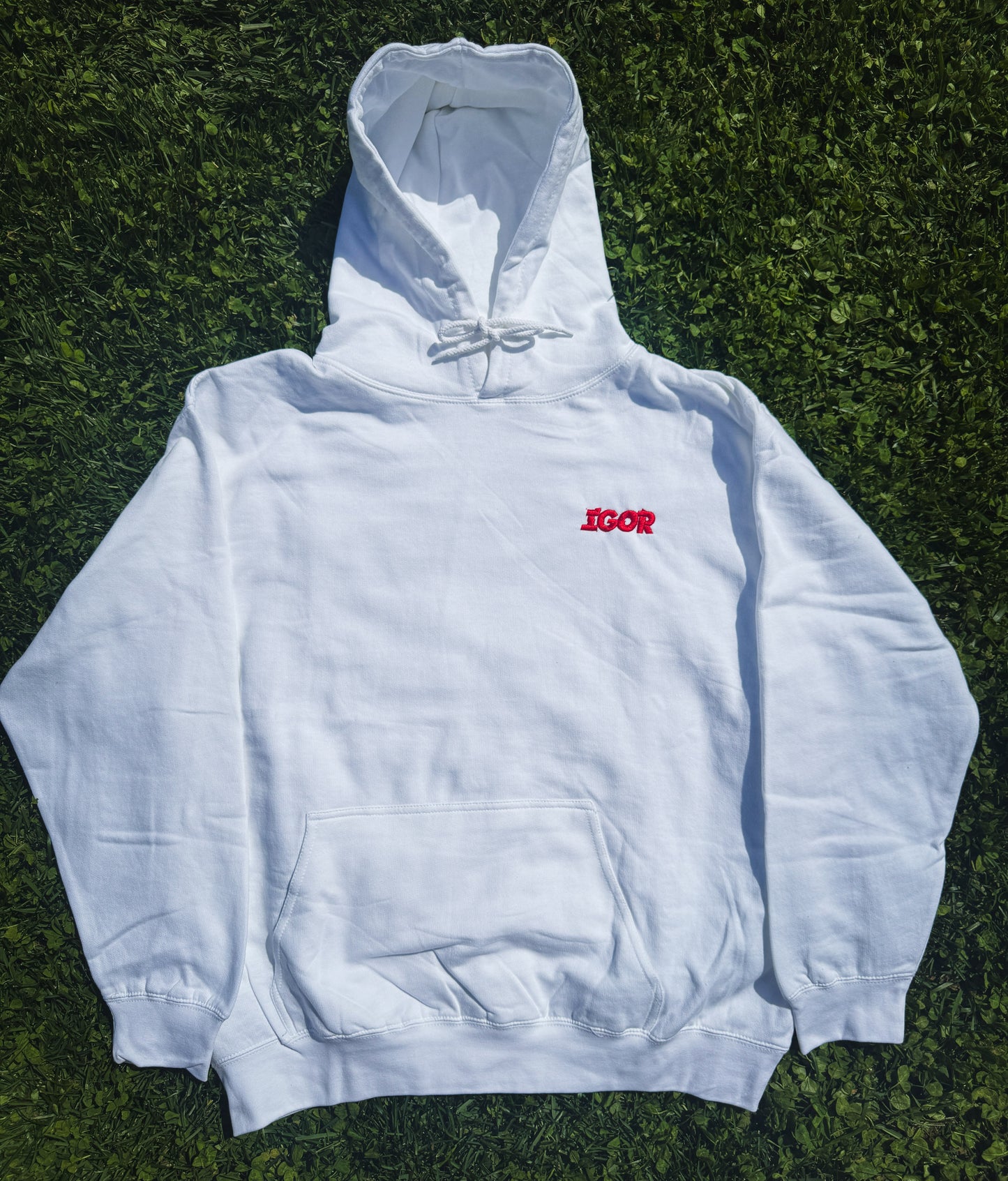 IGOR Embroidered Hoodie