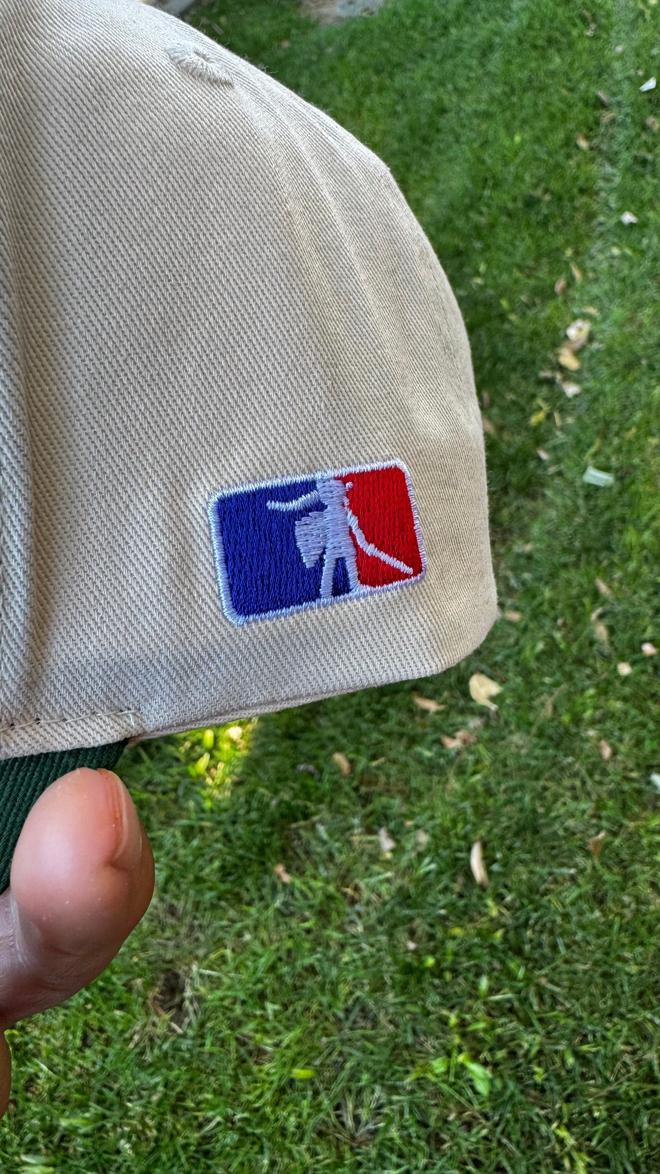 Kakariko Snapback Hat – Roadside Museum