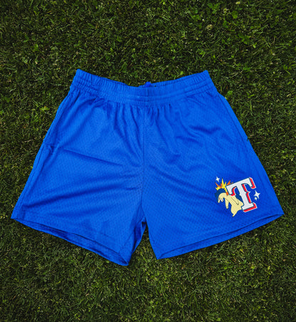 Texphlosion Mesh Shorts