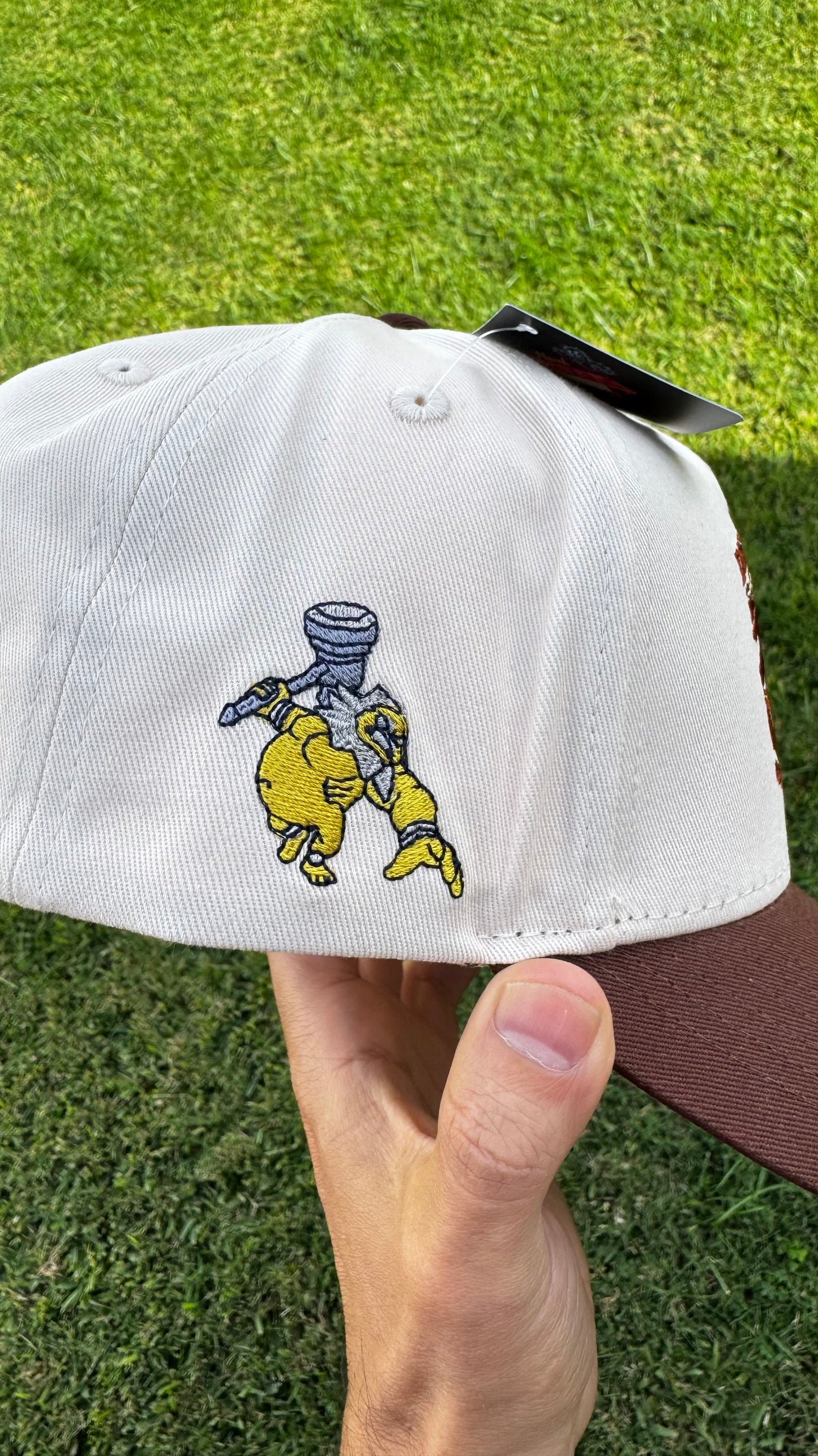 Death Mountain Snapback Hat