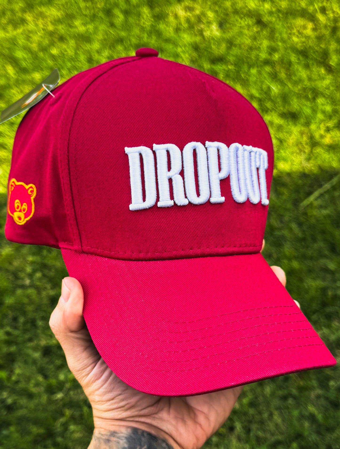 Dropout 🐻 Snapback Hat