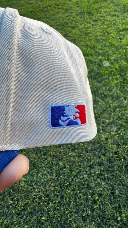 Green Hill Zone Snapback Hat