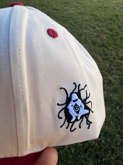 The Other Side of the Gateway Snapback Hat