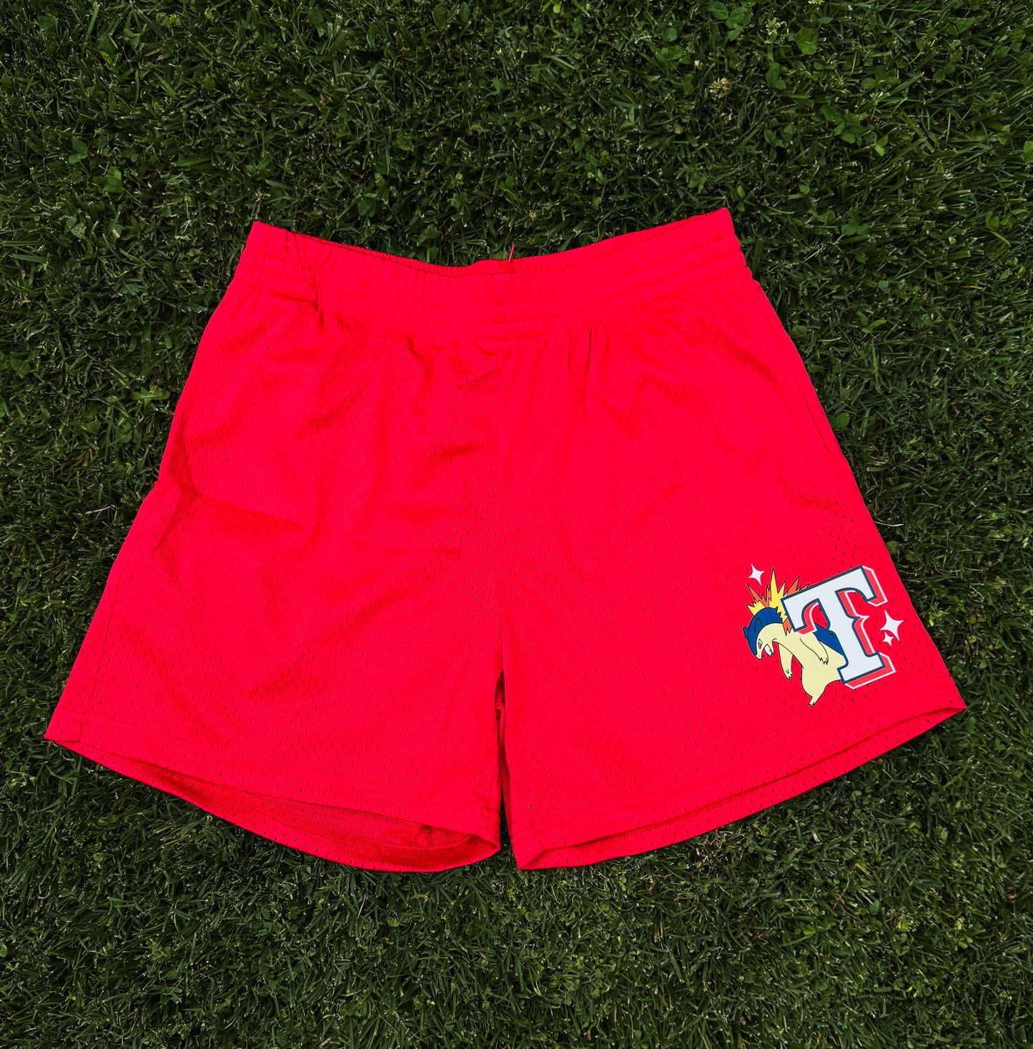 Texphlosion Mesh Shorts