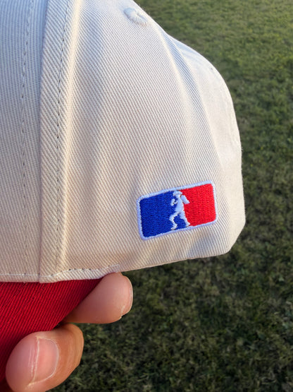 Fire Fist Snapback Hat
