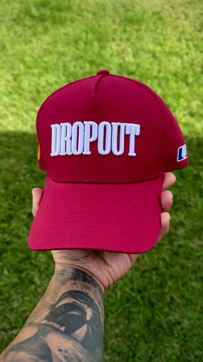 Dropout 🐻 Snapback Hat